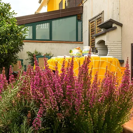 Lilla - And Garden *